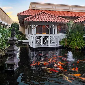hyatt-regency-coco-beach-puerto-rico.top-hotels-puertorico.com/